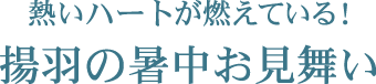 熱いハートが燃えている！  揚羽の暑中お見舞い